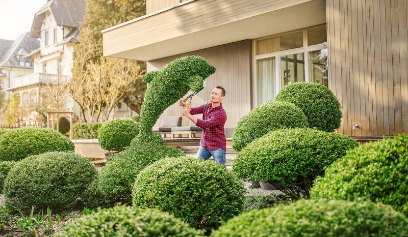 Cuidado de audífonos