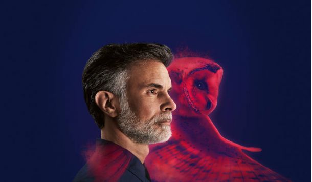 Audífonos Híbridos Alpha