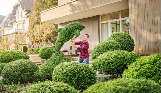 Cuidado de audífonos
